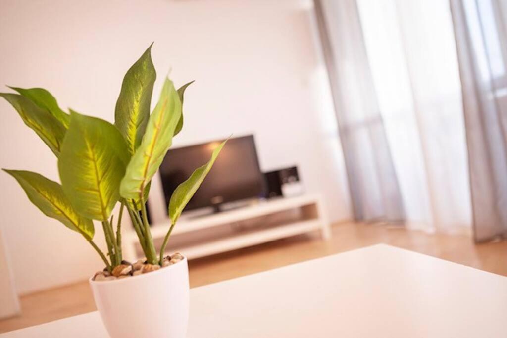 Sea City View W/ 2Bd 1Bt Free Street Parking Rijeka Exterior foto